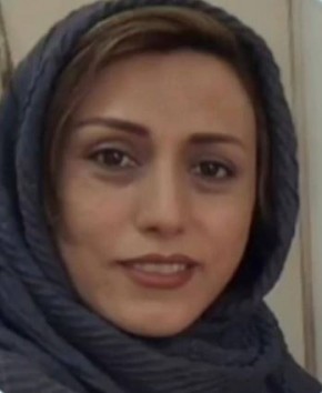 المستشارون 